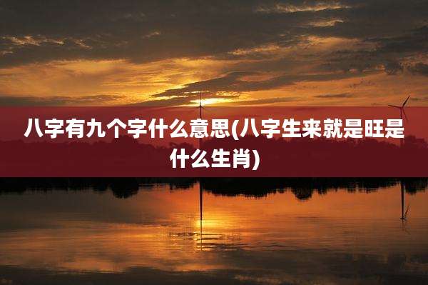 八字有九个字什么意思(八字生来就是旺是什么生肖)