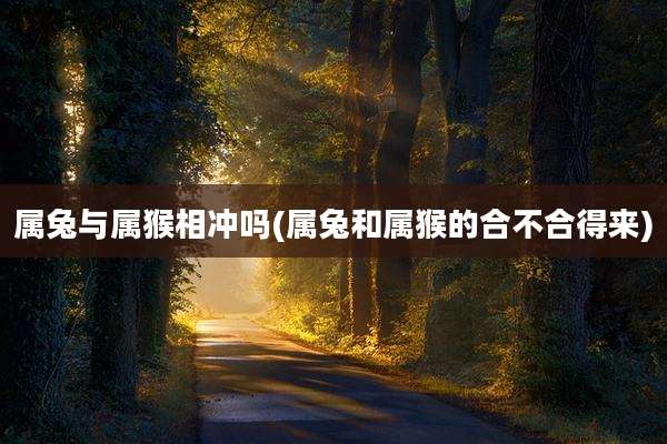 属兔与属猴相冲吗(属兔和属猴的合不合得来)