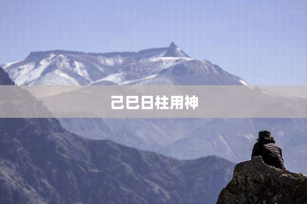 己巳日柱用神