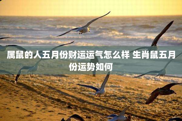 属鼠的人五月份财运运气怎么样 生肖鼠五月份运势如何