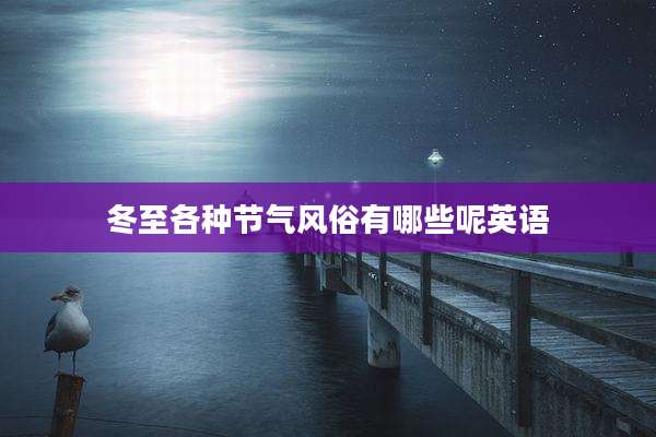 冬至各种节气风俗有哪些呢英语