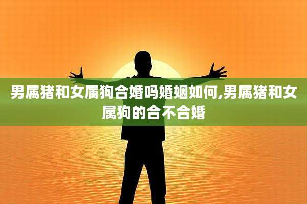 男属猪和女属狗合婚吗婚姻如何,男属猪和女属狗的合不合婚