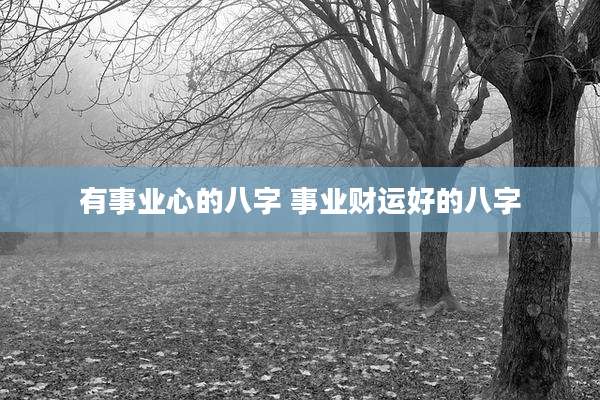 有事业心的八字 事业财运好的八字