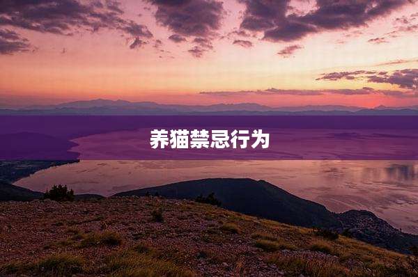 养猫禁忌行为