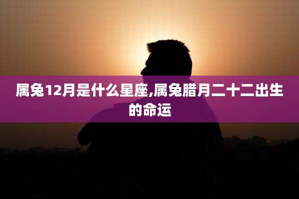 属兔12月是什么星座,属兔腊月二十二出生的命运