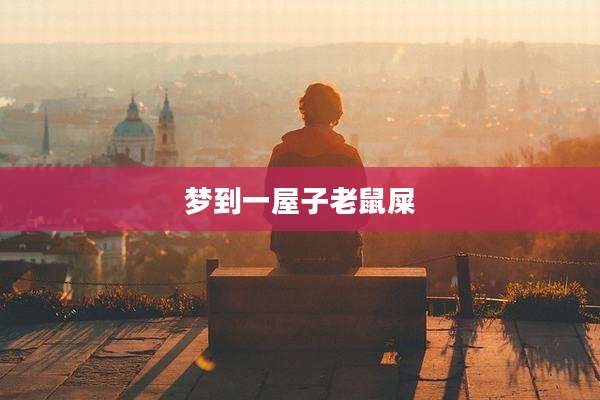 梦到一屋子老鼠屎
