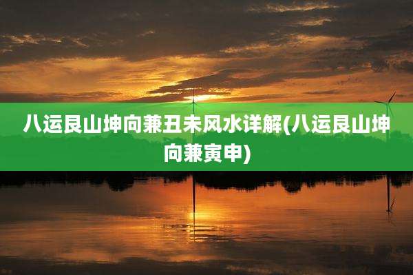 八运艮山坤向兼丑未风水详解(八运艮山坤向兼寅申)