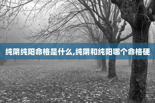 纯阴纯阳命格是什么,纯阴和纯阳哪个命格硬