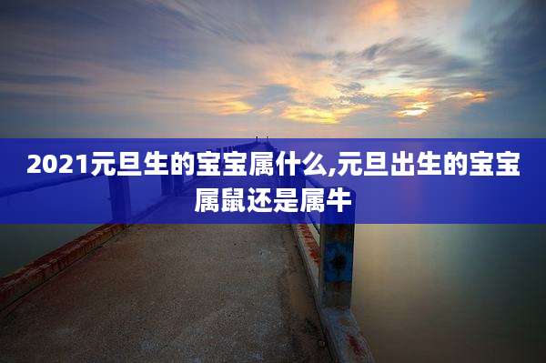 2021元旦生的宝宝属什么,元旦出生的宝宝属鼠还是属牛
