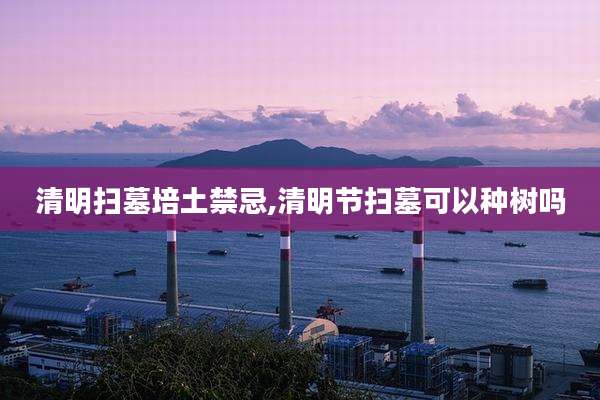 清明扫墓培土禁忌,清明节扫墓可以种树吗