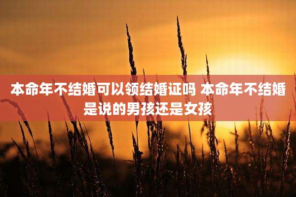 本命年不结婚可以领结婚证吗 本命年不结婚是说的男孩还是女孩