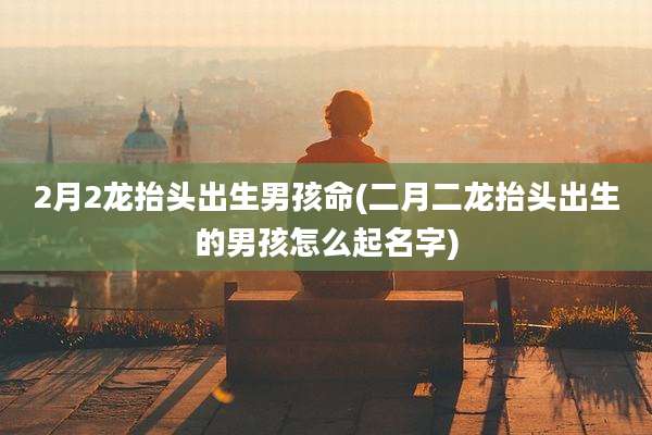 2月2龙抬头出生男孩命(二月二龙抬头出生的男孩怎么起名字)