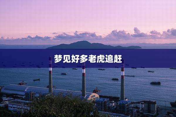 梦见好多老虎追赶
