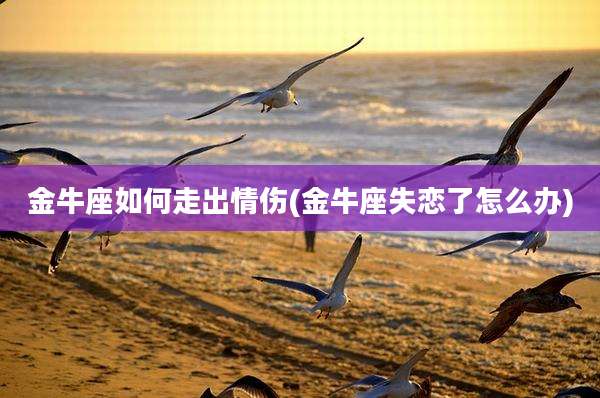 金牛座如何走出情伤(金牛座失恋了怎么办)