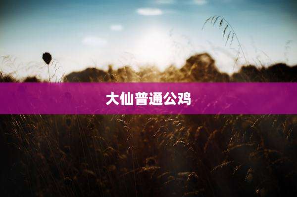 大仙普通公鸡