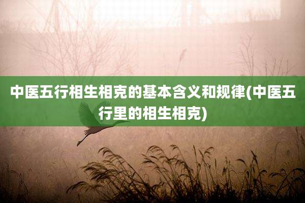 中医五行相生相克的基本含义和规律(中医五行里的相生相克)
