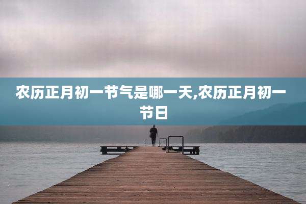 农历正月初一节气是哪一天,农历正月初一 节日