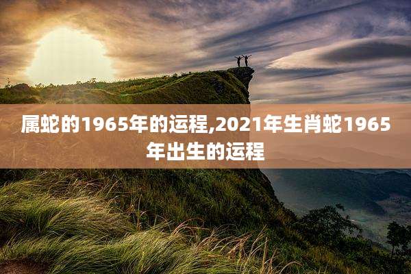 属蛇的1965年的运程,2021年生肖蛇1965年出生的运程
