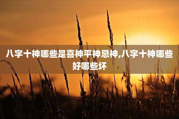 八字十神哪些是喜神平神忌神,八字十神哪些好哪些坏