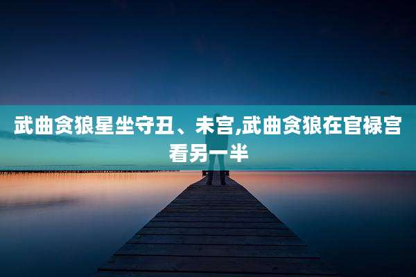 武曲贪狼星坐守丑、未宫,武曲贪狼在官禄宫看另一半
