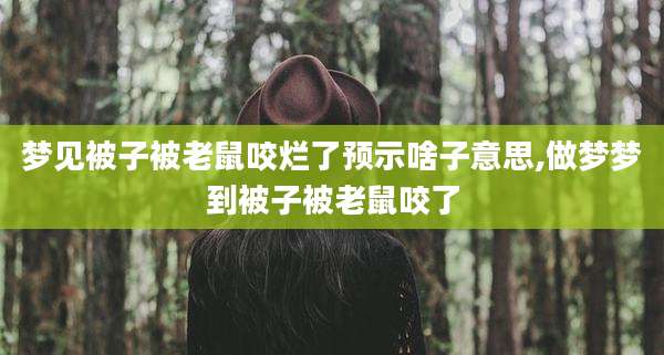 梦见被子被老鼠咬烂了预示啥子意思,做梦梦到被子被老鼠咬了