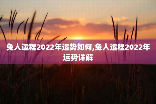 兔人运程2022年运势如何,兔人运程2022年运势详解