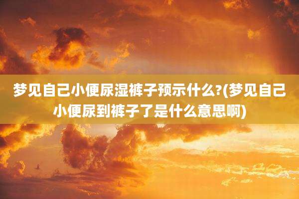 梦见自己小便尿湿裤子预示什么?(梦见自己小便尿到裤子了是什么意思啊)
