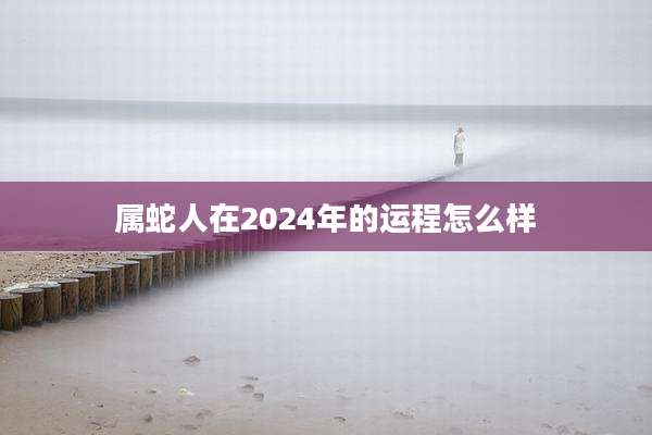 属蛇人在2024年的运程怎么样