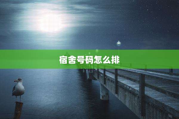 宿舍号码怎么排