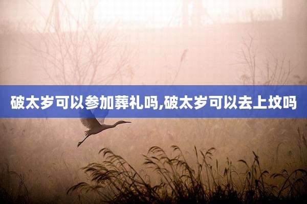 破太岁可以参加葬礼吗,破太岁可以去上坟吗