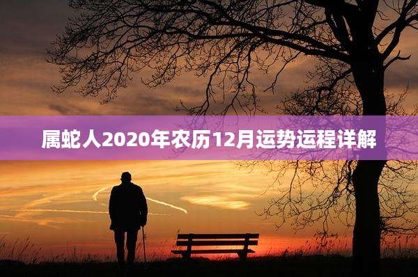 属蛇人2020年农历12月运势运程详解