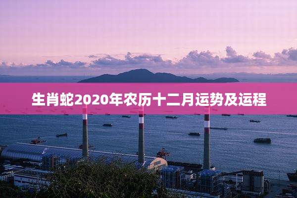 生肖蛇2020年农历十二月运势及运程