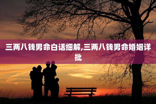 三两八钱男命白话细解,三两八钱男命婚姻详批