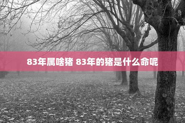 83年属啥猪 83年的猪是什么命呢