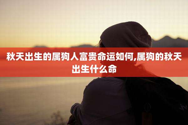 秋天出生的属狗人富贵命运如何,属狗的秋天出生什么命