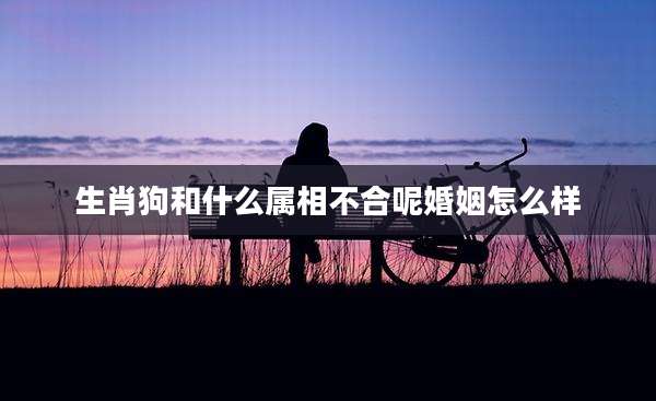 生肖狗和什么属相不合呢婚姻怎么样