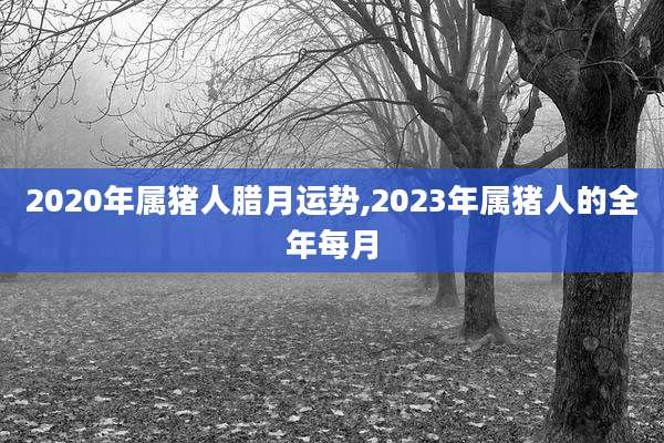 2020年属猪人腊月运势,2023年属猪人的全年每月