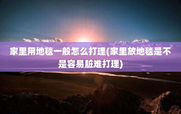家里用地毯一般怎么打理(家里放地毯是不是容易脏难打理)