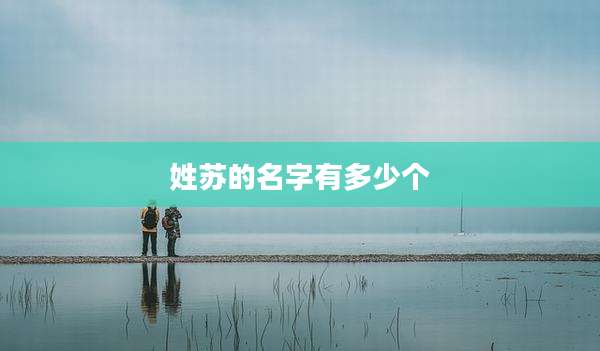 姓苏的名字有多少个