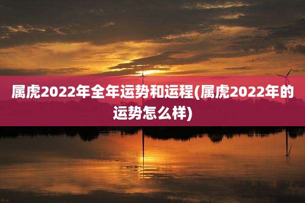 属虎2022年全年运势和运程(属虎2022年的运势怎么样)