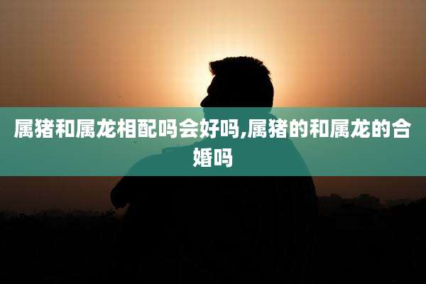 属猪和属龙相配吗会好吗,属猪的和属龙的合婚吗