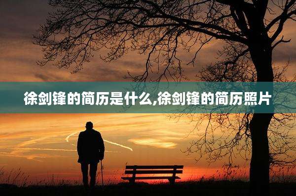 徐剑锋的简历是什么,徐剑锋的简历照片