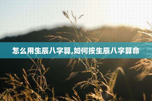 怎么用生辰八字算,如何按生辰八字算命
