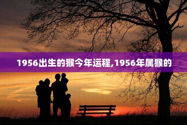 1956出生的猴今年运程,1956年属猴的
