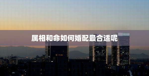 属相和命如何婚配最合适呢