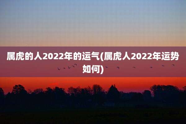 属虎的人2022年的运气(属虎人2022年运势如何)