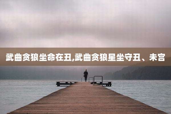 武曲贪狼坐命在丑,武曲贪狼星坐守丑、未宫