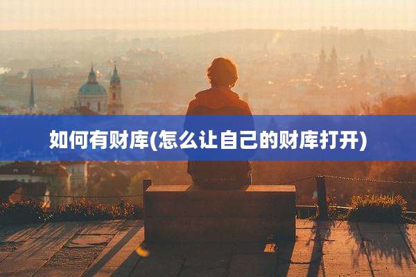 如何有财库(怎么让自己的财库打开)