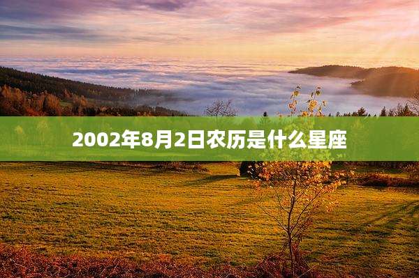2002年8月2日农历是什么星座
