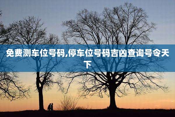 免费测车位号码,停车位号码吉凶查询号令天下